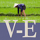 Vietnames - English Dictionary