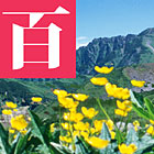 Hyakusen Hana no Meisan